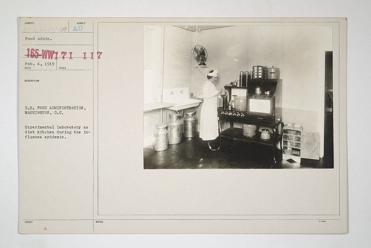WHO laboratory influenza testing